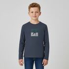 Boys Grey Long Sleeve Top, 1, hi-res