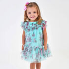Baby Girls Aqua Roses Tulle Dress, 1, hi-res