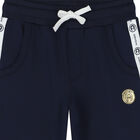 Boys Navy Logo Shorts, 1, hi-res