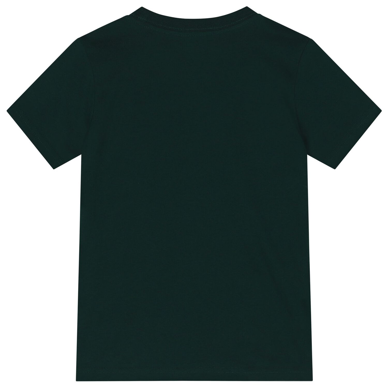 Boys Green Polo Bear T-Shirt, 1, hi-res