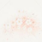 طقم بطانية باللون عاجية مزخرفة بالزهور للبنات , 2, hi-res