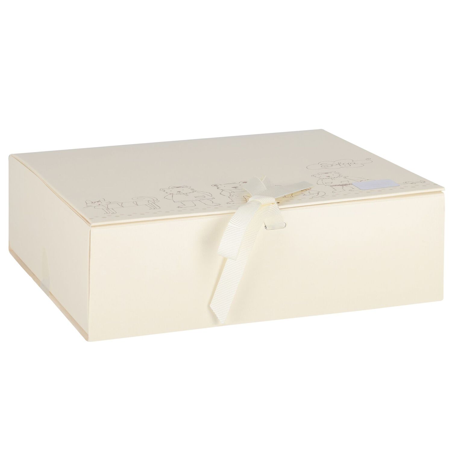 Baby Girls Ivory Floral Babygrow Gift Set, 2, hi-res image number null