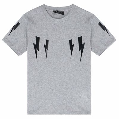 Boys Grey Jersey T-Shirt 