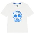 طقم شورت اولاد بالشعار باللون الأزرق والاسود, 1, hi-res