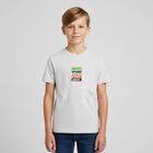 Boys Grey Logo T-Shirt, 1, hi-res