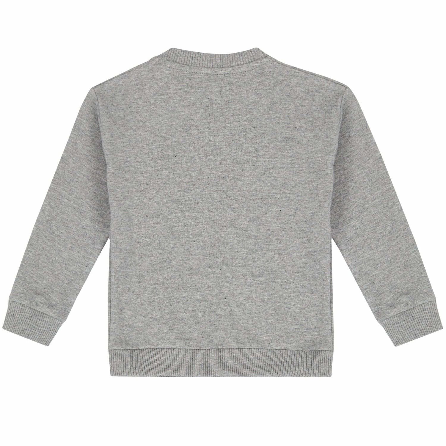 Grey Teddy Logo Sweatshirt, 1, hi-res
