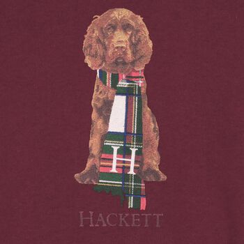 Boys Red Dog Logo Sweatshirt