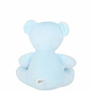Baby Boys Blue Teddy