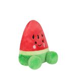 Palm Pals Red & Green Sandy Watermelon Soft Toy ( 13CM ), 1, hi-res