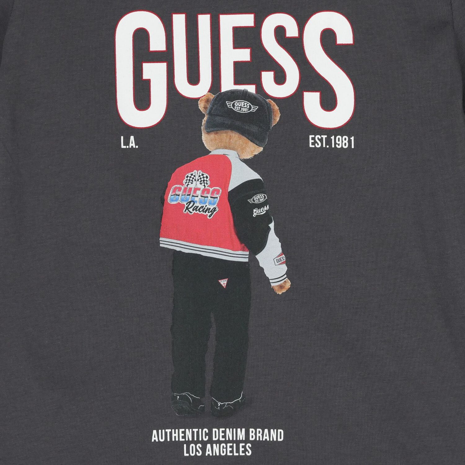 تيشيرت اولاد بشعار تيدى بير باللون الرمادى, 6, hi-res