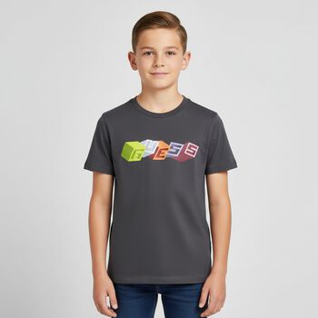 Boys Grey Logo T-Shirt