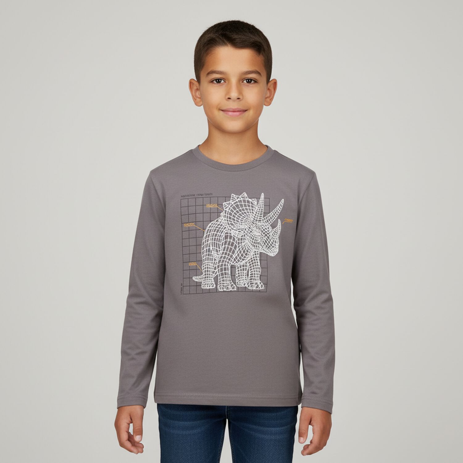Boys Grey Dinosaur Long Sleeve Top, 1, hi-res