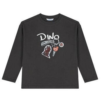 Boys Grey Dino Long Sleeve Top