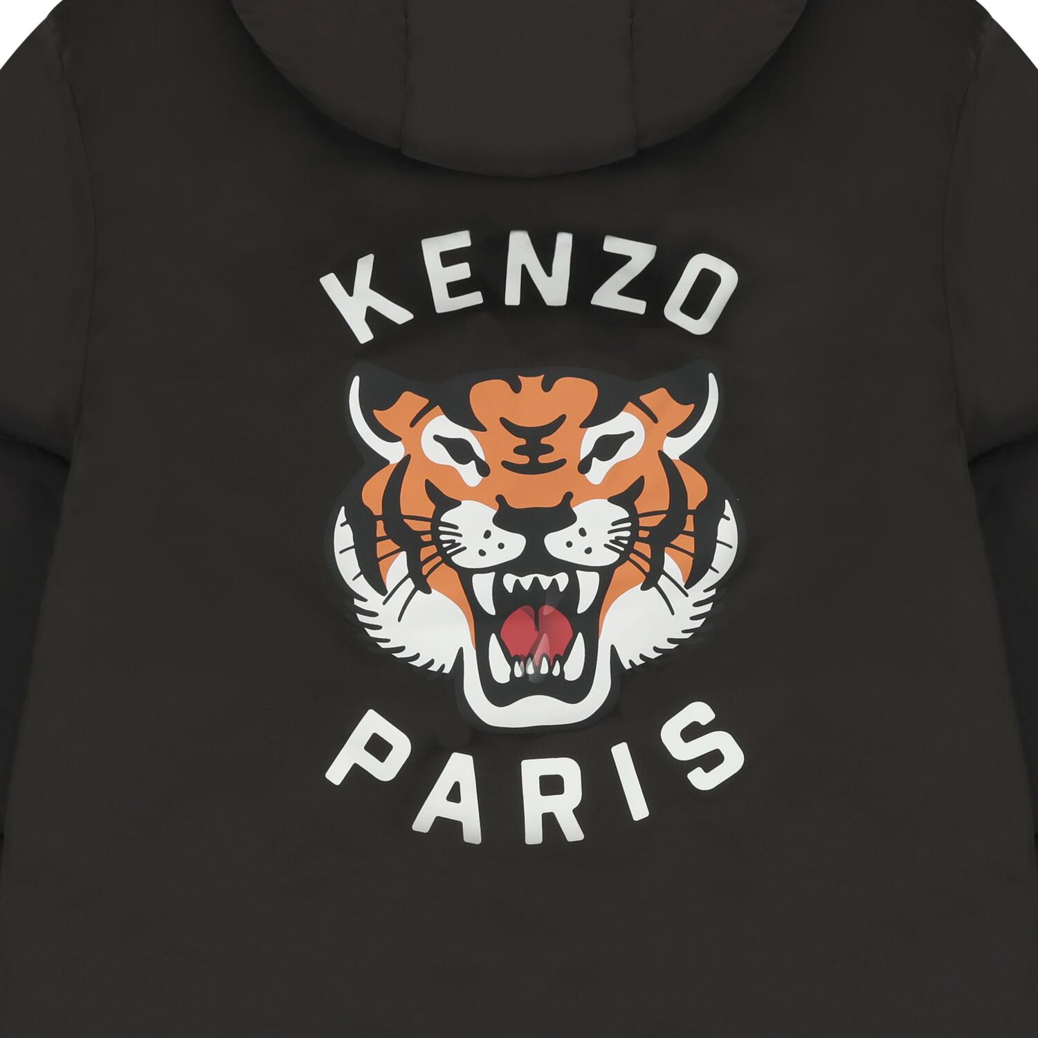 جاكت بالشعار بطبعه نمر باللون الاسود , 1, hi-res