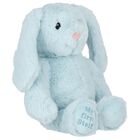 Aqua Hoppie Rabbit Toy ( 26cm ), 1, hi-res