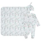 Baby Girls Mint Floral Babygrow Set, 1, hi-res