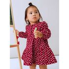 Younger Girls Red Cheetah Dress, 1, hi-res