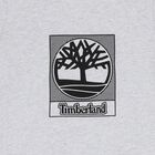 تيشيرت رمادي بشعار للأولاد, 2, hi-res