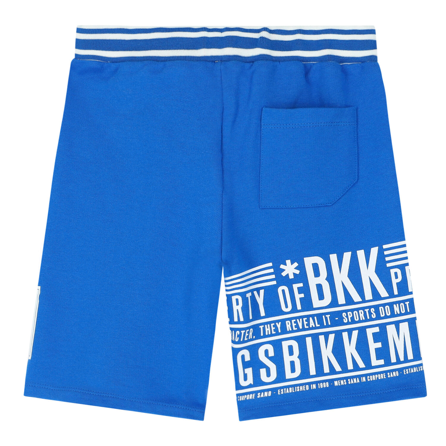 Boys Blue Logo Shorts, 1, hi-res image number null