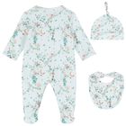 Baby Girls Mint Floral Babygrow Set, 1, hi-res