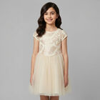 Girls Beige & Gold Tulle Dress, 1, hi-res
