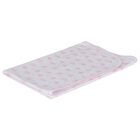 Baby Girls White & Pink Teddy Bear Time Blanket, 1, hi-res