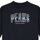 Boys Navy Blue Sweatshirt, 1, hi-res