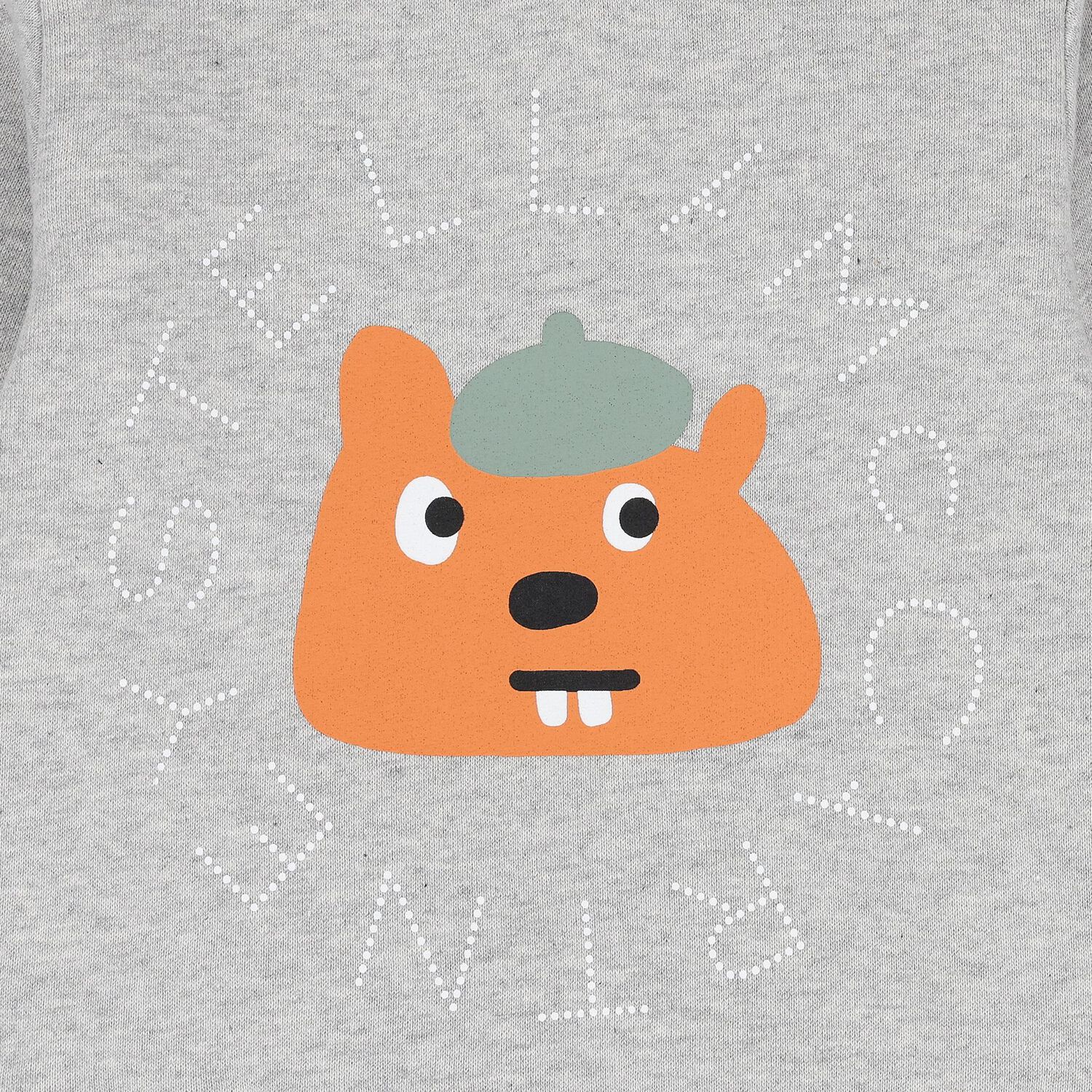 Younger Boys Grey Squirrel Sweatshirt, 1, hi-res