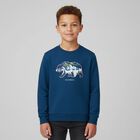 Boys Blue Polar Bear Sweatshirt, 1, hi-res