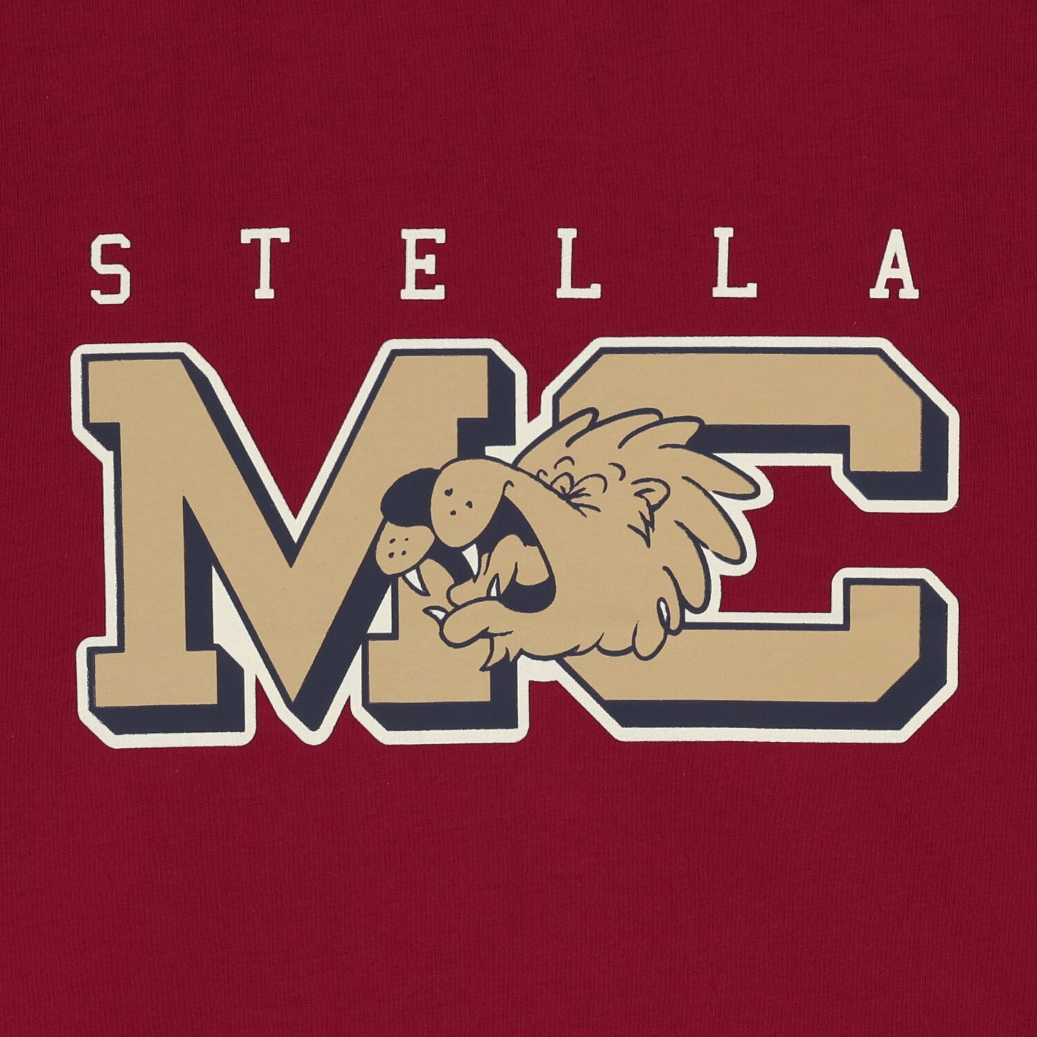 Boys Burgundy Logo T-Shirt, 1, hi-res