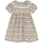 Girls Blue & Pink Roses Dress, 1, hi-res