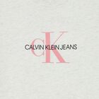 تيشيرت بالشعار باللون الرمادي للاولاد, 3, hi-res