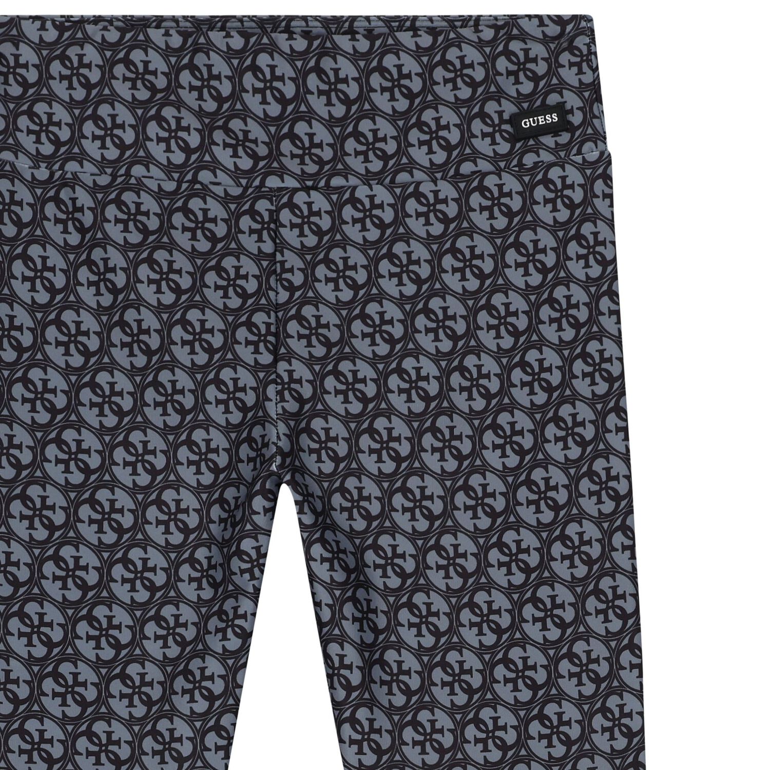 ليغنز بالشعار باللون الأسود والرمادي, 1, hi-res image number null