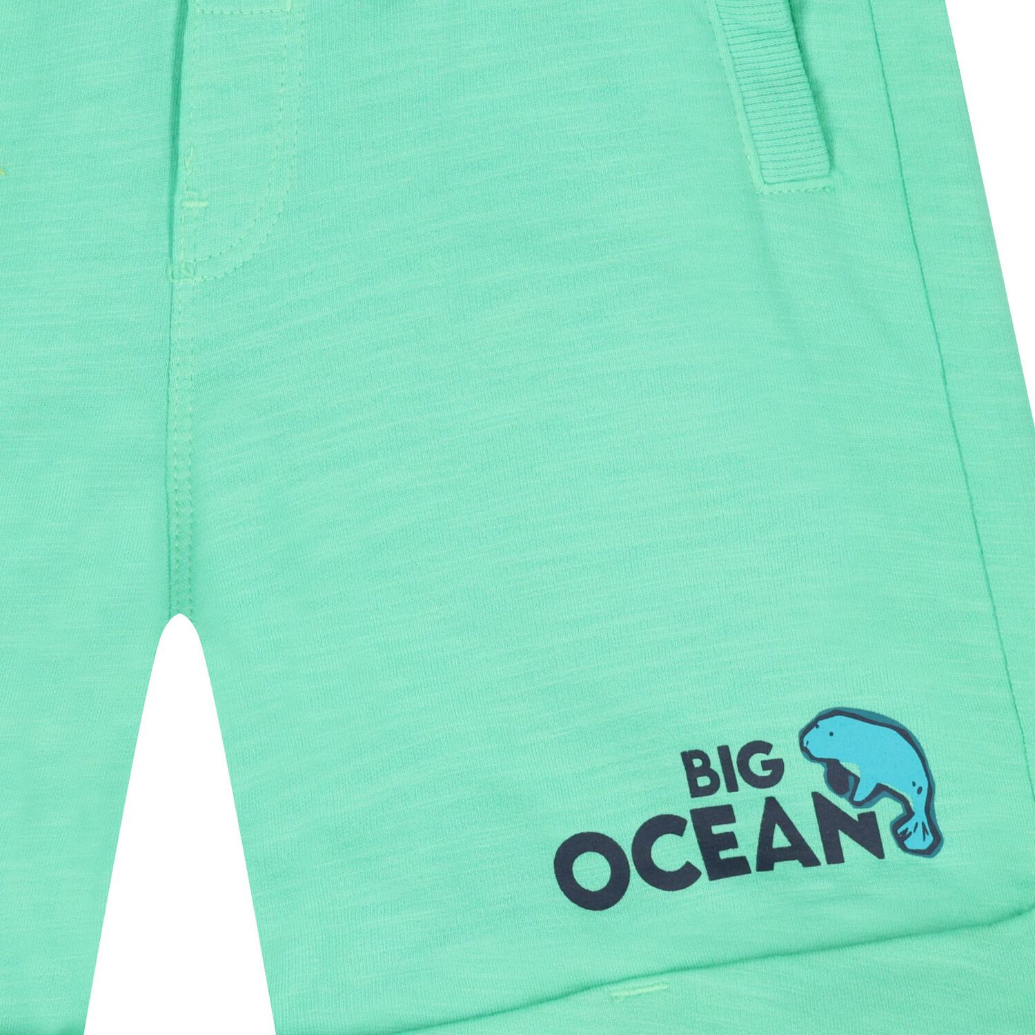 Boys Green Fleece Shorts, 1, hi-res