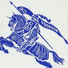 Boys Ivory Knight T-Shirt, 1, hi-res