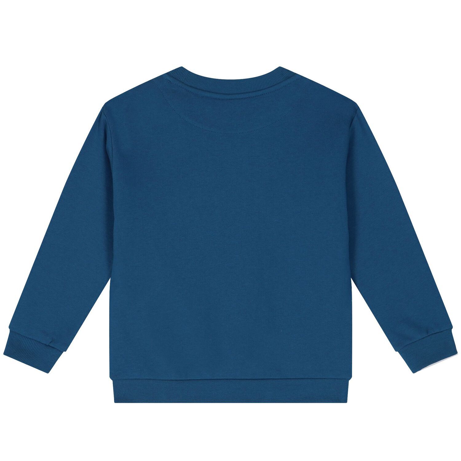 Boys Blue Polar Bear Sweatshirt, 1, hi-res