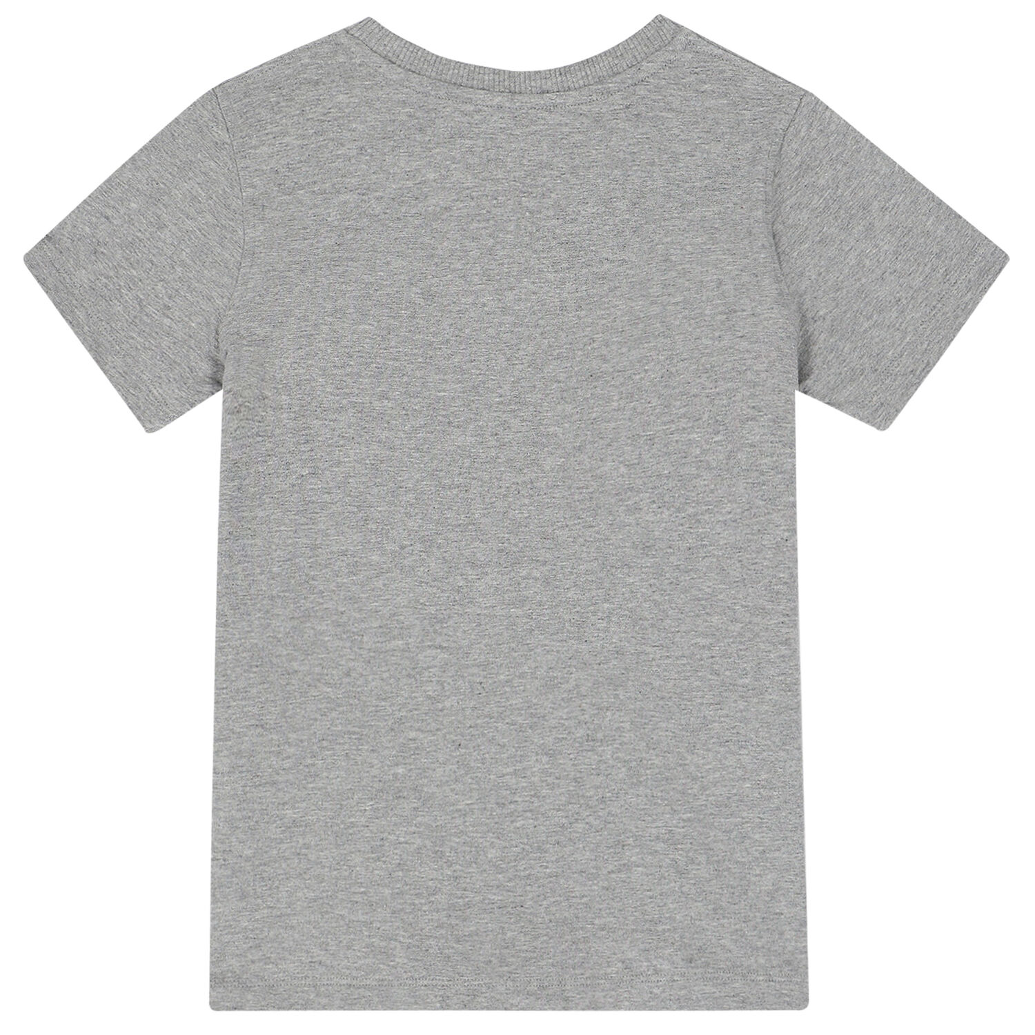 Grey Teddy Logo T-Shirt, 5, hi-res image number null