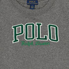 سويت شيرت بالشعار باللون الرمادي للأولاد, 1, hi-res