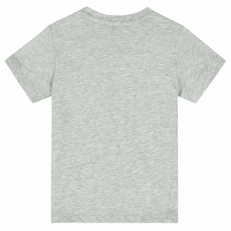 Younger Boys Grey Tiger T-Shirt, 1, hi-res image number null