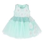 Younger Girls Green Tulle & Sequin Flower Dress, 1, hi-res