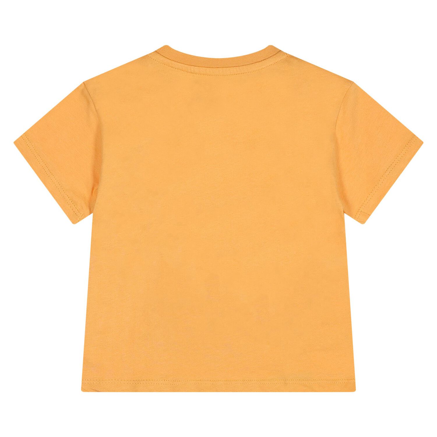 Younger Boys Orange Hippo T-Shirt, 3, hi-res