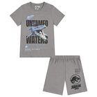 Boys Grey Jurassic Shorts Set, 1, hi-res