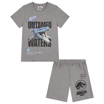 Boys Grey Jurassic Shorts Set