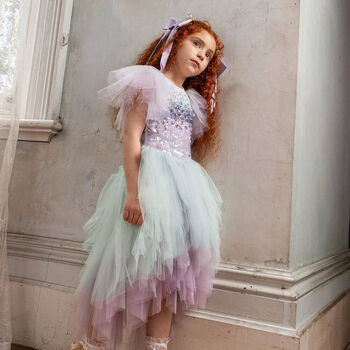Girls Blue & Lilac Embellished Tulle Dress
