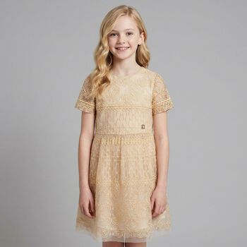 Girls Beige Embroidered Tulle Dress