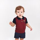 تيشيرت بولو بشعار تيدي باللون العنابي للأولاد الصغار, 1, hi-res