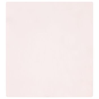 Baby Girls White & Pink Swan Blanket