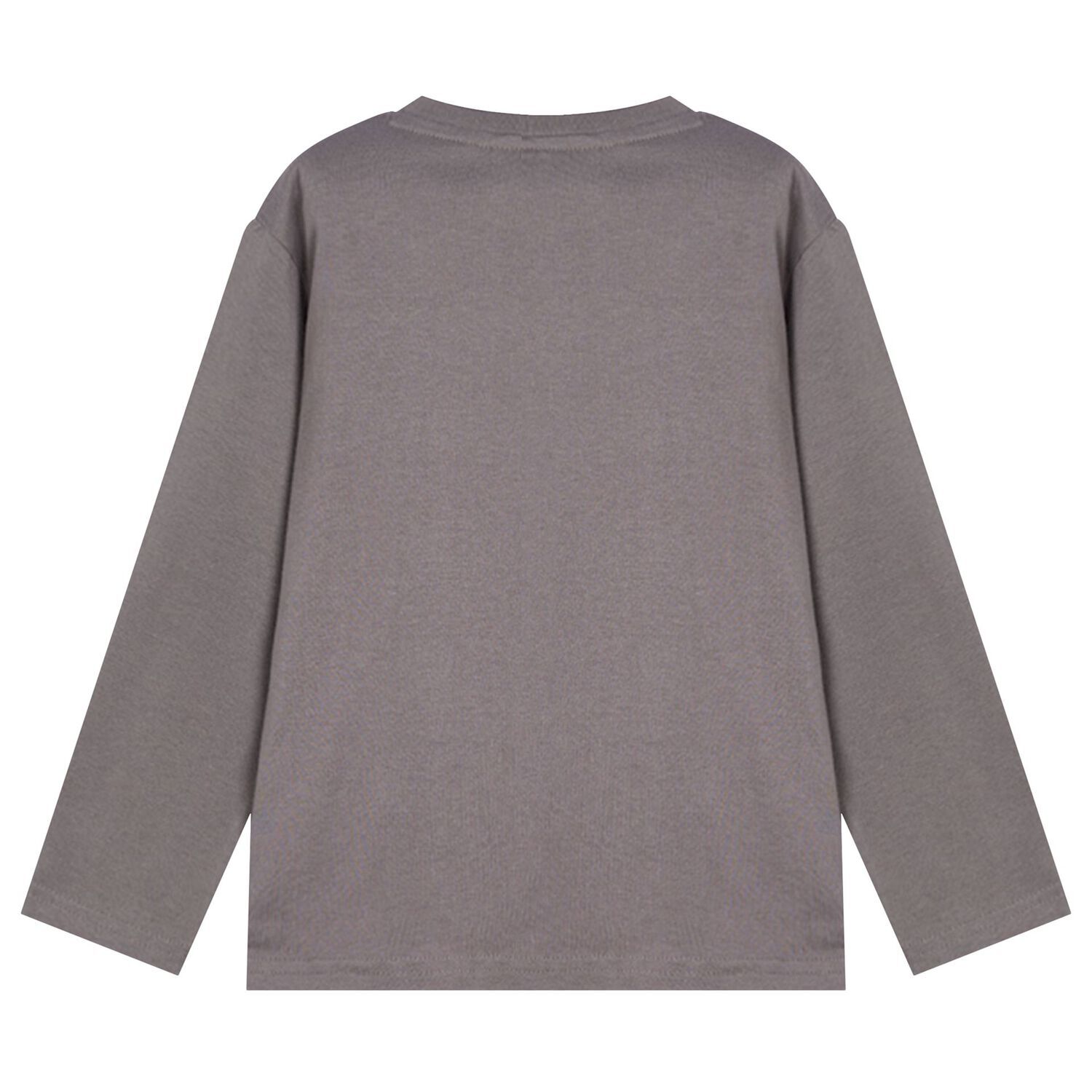 Boys Grey Dinosaur Long Sleeve Top, 1, hi-res