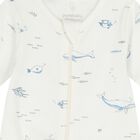 Baby Boys White & Navy Blue Rompers ( 2 Pack ), 2, hi-res