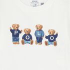 Boys White Polo Bear T-Shirt, 1, hi-res